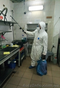 Травить тараканов Одесса. Служба по борьбе с тараканами #1611065