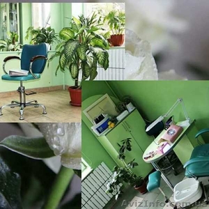 Требуется парикмахер и мастер маникюра.. #1615352