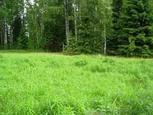 Шикарный участок от собственника 0, 22 га #1614337