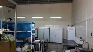 Сдам 100 м. под производство м. Спортивная. #1616850