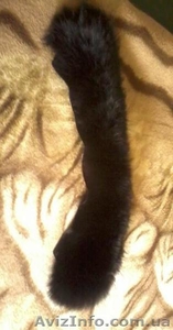 Меховый воротник к пальто,  жакету,  куртке #1615565