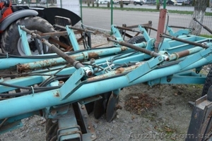 ЛУЩИЛЬНИК 8 – МЕТРОВЫЙ (КРАСНЯНКА) #1613781