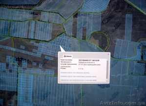 Продам участок 10 соток в с. Литвиновка,  Вышгородский в Киеве (Продам)  #1617565