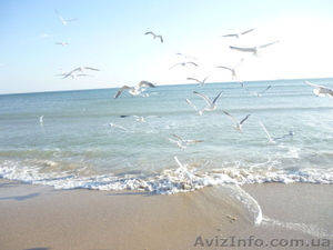 Невероятный Одесский берег Майские #1615131