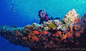 Отдых в Египте. Все прелести этой страны Ваше Объявление: 11147389 #1615946