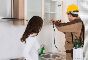 Травля тараканов,  блох,  клещей Николаев. Дезинсекция #1615743