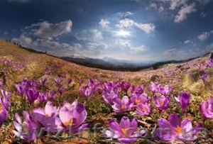 Гранд-ТУР в Карпаты #1615125