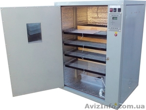 Купить инкубатор #1618544