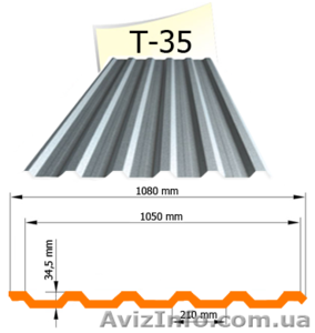 Мeтaлoчeрeпиця та прoфнaстил #1618446