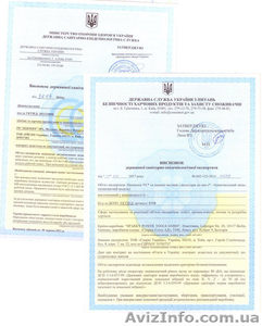 Санітарно-епідеміологічний висновок,  дозвільна документація на імпортну та вітчи #1620460
