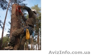 Другое #1619011