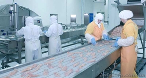 Работа в Польше (высокая з/п) #1622944