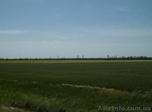 Фасадный участок под логистику,  склад - 3, 5 га,  Одесская объездная дорога. #1624397