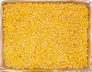 Покупаю кукурузу,  дорого #1622226