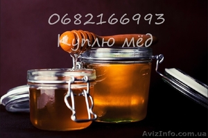 Закупаем мед #1624586