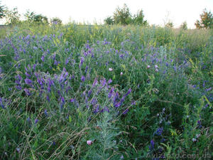 классная цена.Участок в черте города!Звоните! #1624035