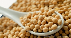 Закупка сои по всей Украине,  дорого #1622089