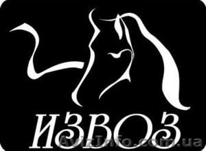 Грузоперевозки по Киеву Области и Украине,  Услуги Грузчиков #1624100
