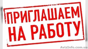 Рабочие на склад. Открыт набор. #1626053