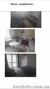  Рабочие на производство деревянных поддонов в Польшу. #1625663