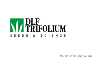 ОПТОВАЯ ЦЕНА Семена газонной травы DLF Trifolium #1626181