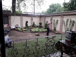 Рулонный газон,  посевной газон в Одессе #1627763