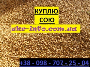 КУПЛЮ сою. СОЯ. Покупаем. #1626829