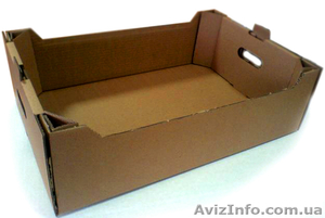 Картонная Тара под яблоко  #1626504