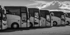 Транспортная компания с лицензией на международные пассажирские перевозк #1625281