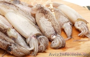 Кальмар тушка свежемороженный #1627718