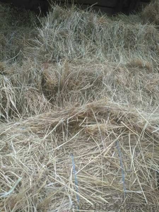 Продам сено и солому #1626655