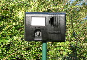 Как защитить хозяйство от диких животных,  отпугиватель собак #1627427