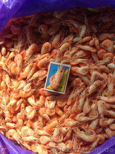 Продам оптом креветку черноморскую,  азовскую отличного качества. #1631123