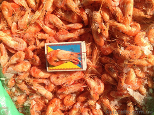 Креветка с полным пакетом сопроводительных документов #1631126