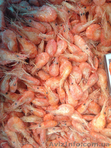 Креветка черноморская,  азовская. крупная ,  гамуз ,  микс #1631128