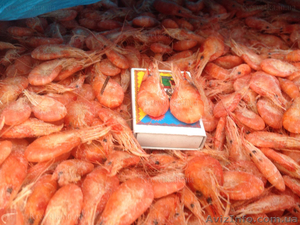 Креветка черноморская #1631131