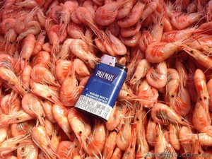 Креветка #1631135