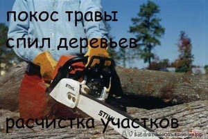 Спил дерева,  покос травы ,  расчистка участков вывоз мусора #1628871