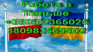 Виза,  Работа,  Страховки в Польшу. #1628535