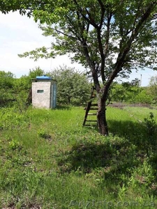 Продам свою уютную дачу с торгом  #1630942