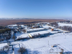 Продажа складов насыпных грузов в порту,  Николаев #1629100
