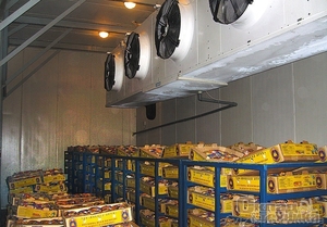 Работа в Чехии в Холодильниках. Рабочие на склады в Праге (Житомир) #1630298