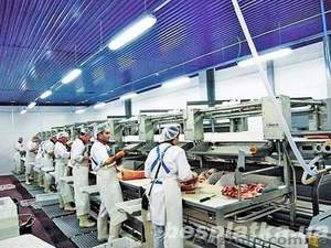 Работник на польско-немецкий мясокомбинат (Польша)  #1629788