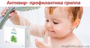 Антивир- природный антибиотик 60 табл. 100% Оригинал #1632339