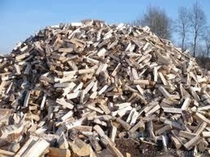 Дрова колотые от 700грн за складометр #1632561