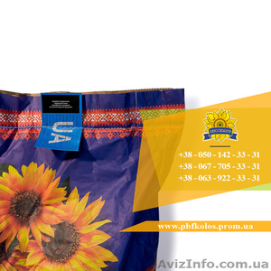 Семена подсолнечника / Насіння соняшника Форвард #1588895