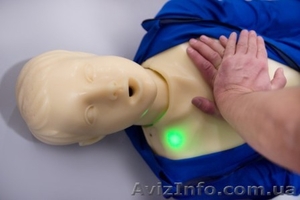 Робот-тренажер «ТАРАС» сердечно-легочной и мозговой реанимации #1633804