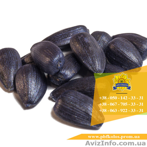 Семена подсолнечника / Насіння соняшника Златсон #1588884