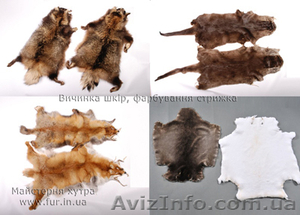  Услуги по выделке натурального меха. Украина.  #1500925