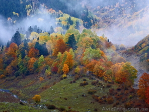 Осінні вихідні в Карпатах. Драгобрат+Верховина+Львів. #1603242